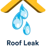 roof leak insurance aventura fl